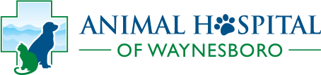 Veterinarians in Waynesboro, VA | Animal Hospital of Waynesboro