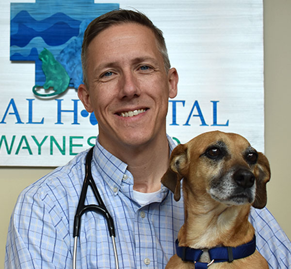 Veterinary Staff | Animal Hospital of Waynesboro