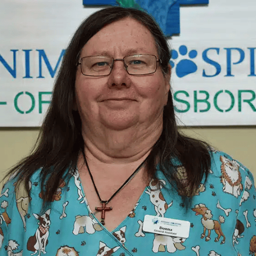 Donna, General Assistant Donna, General Assistant