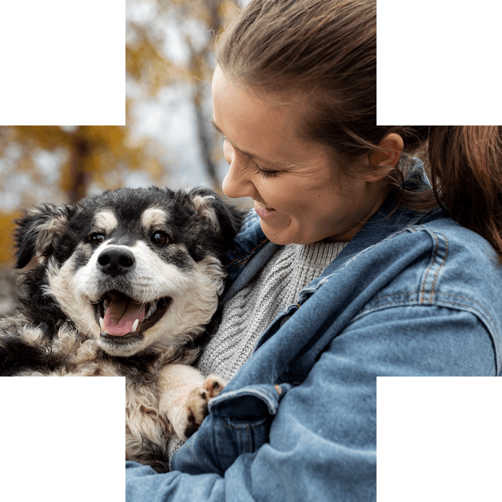 photo of happy puppy being held by someone outdoors inside medical cross-shaped frame