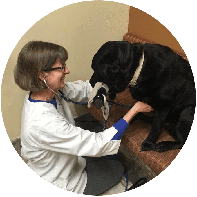 Dr. Valerie Weiss with dog