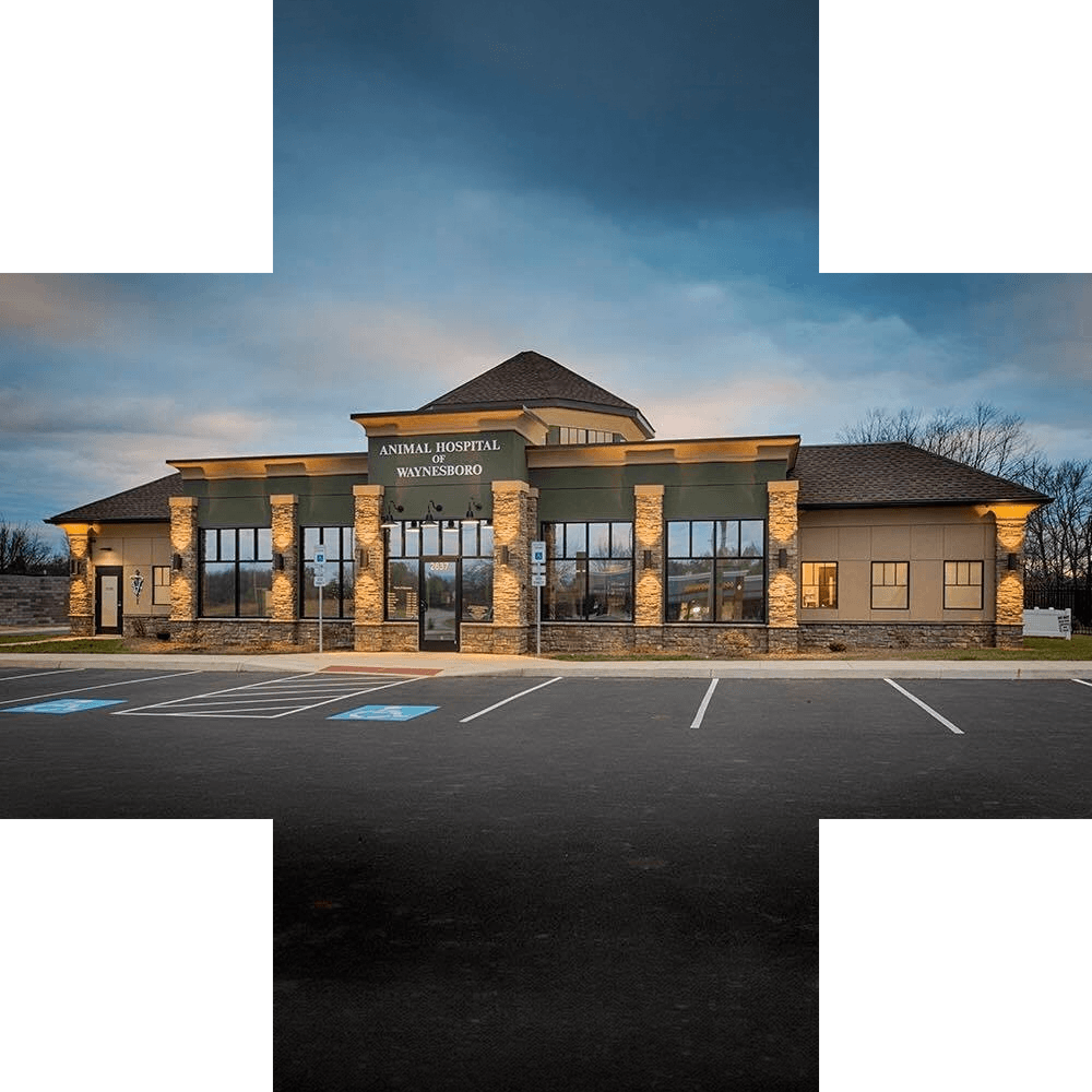 photo of exterior view of Animal Hospital of Waynesboro building inside medical cross-shaped frame